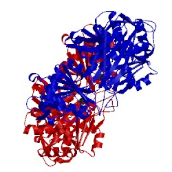 Image of CATH 1jdy