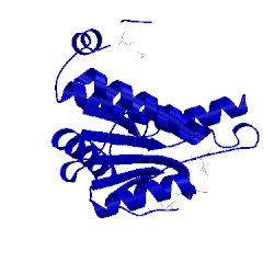 Image of CATH 1jeo