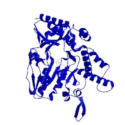 Image of CATH 1jf9