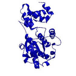 Image of CATH 1jii