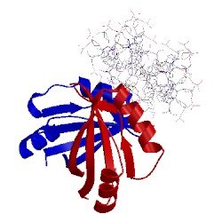 Image of CATH 1jj4