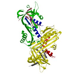 Image of CATH 1jjo