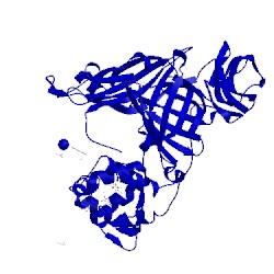 Image of CATH 1jju