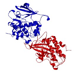 Image of CATH 1jkt