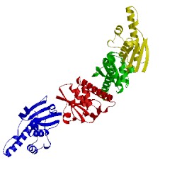 Image of CATH 1jl3