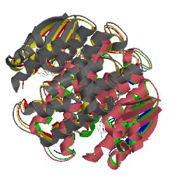 Image of CATH 1jlv