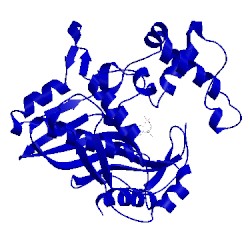 Image of CATH 1jmi