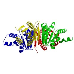 Image of CATH 1jmv