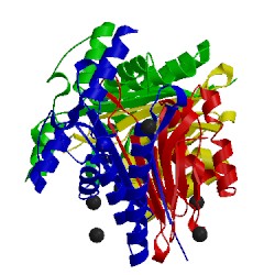 Image of CATH 1jn9