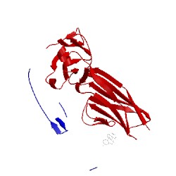 Image of CATH 1jnn