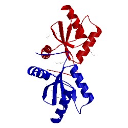Image of CATH 1jo0