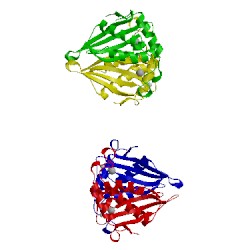 Image of CATH 1joe