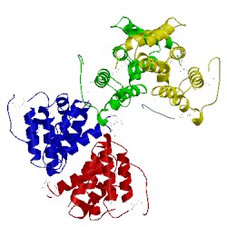 Image of CATH 1jpl