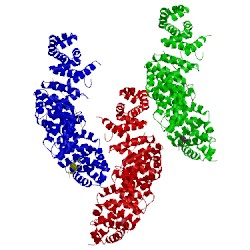 Image of CATH 1jpw