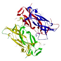 Image of CATH 1jpy