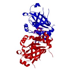 Image of CATH 1jq7