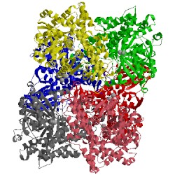 Image of CATH 1jqk