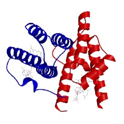 Image of CATH 1jr8