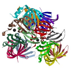 Image of CATH 1jri