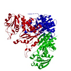 Image of CATH 1js1