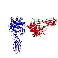 Image of CATH 1js4