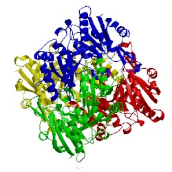 Image of CATH 1jsr