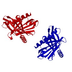 Image of CATH 1jss