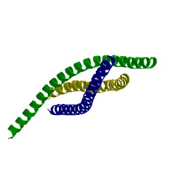 Image of CATH 1jth