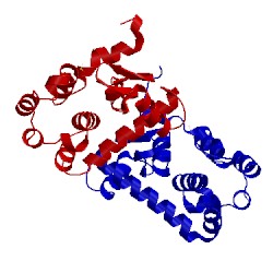 Image of CATH 1jtn