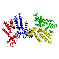 Image of CATH 1jtx