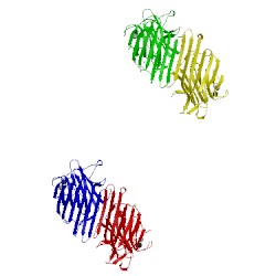 Image of CATH 1jui