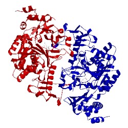 Image of CATH 1jv1