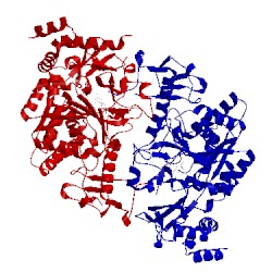 Image of CATH 1jvd