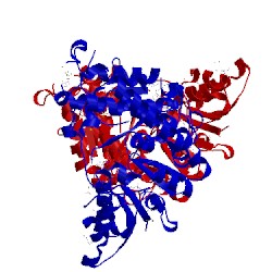 Image of CATH 1jvs