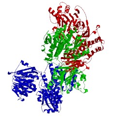 Image of CATH 1jxa