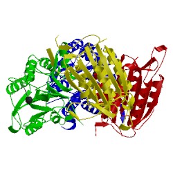 Image of CATH 1jxq