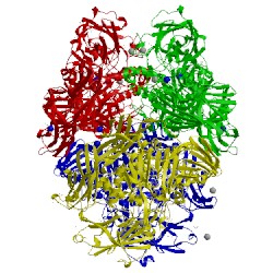 Image of CATH 1jz5