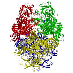 Image of CATH 1jz8