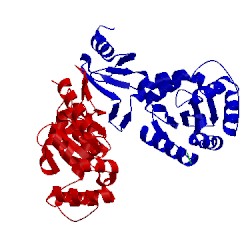 Image of CATH 1jzd