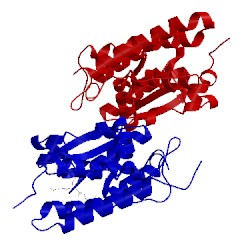 Image of CATH 1k0n