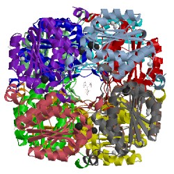 Image of CATH 1k1e