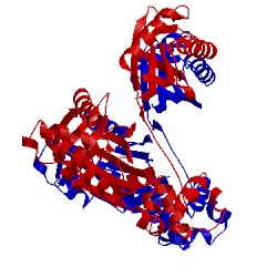 Image of CATH 1k1q