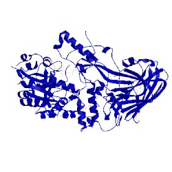 Image of CATH 1k1w