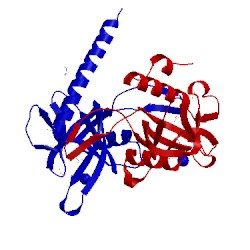 Image of CATH 1k2e