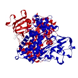 Image of CATH 1k2o