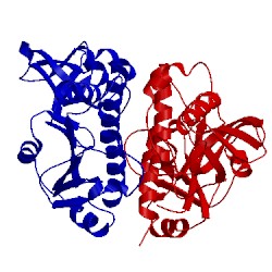 Image of CATH 1k3r