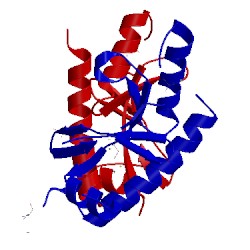 Image of CATH 1k3s