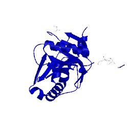 Image of CATH 1k4n