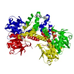 Image of CATH 1k6y