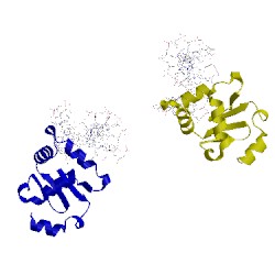 Image of CATH 1k7a